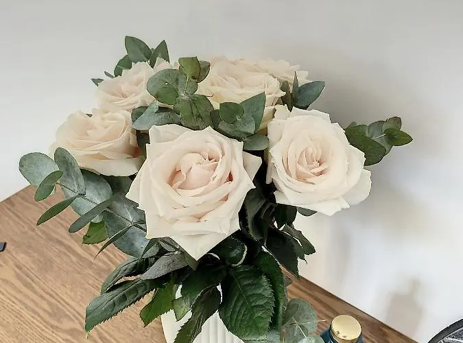 Songe Dans Maison Au Calme Compiegne